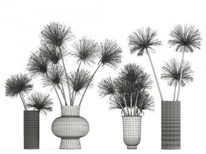 mazzo di fiori secchi di cipero in vaso 177 Modello 3D