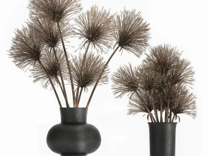 mazzo di fiori secchi di cipero in vaso 177 Modello 3D