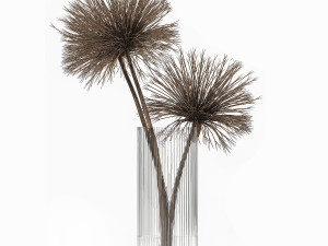 bouquet of dried flowers cyperus in a vase 177 Model 3D