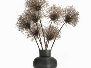 bouquet of dried flowers cyperus in a vase 177 Model 3D