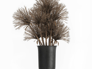 bouquet of dried flowers cyperus in a vase 177 Model 3D