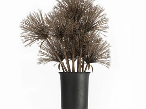 mazzo di fiori secchi di cipero in vaso 177 Modello 3D