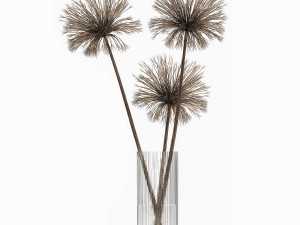 bouquet of dried flowers cyperus in a vase 177 Model 3D