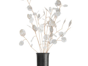 bouquet of dried flowers lunaria in a glass vase 178 3D मॉडल