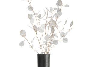 bouquet of dried flowers lunaria in a glass vase 178 3D Model