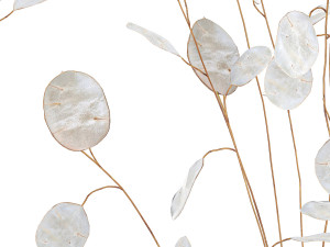 bouquet of dried flowers lunaria in a glass vase 178 3D मॉडल