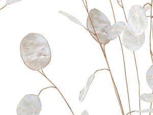 bouquet of dried flowers lunaria in a glass vase 178 3D Model