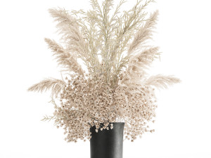 bouquet of white dried flowers in a vase 179 3D 모델