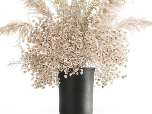 bouquet of white dried flowers in a vase 179 3D Model