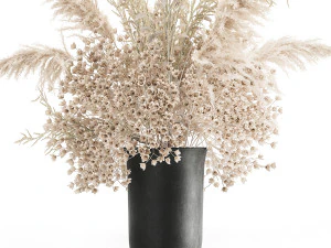 buqu&ecirc; de flores brancas secas em um vaso 179 Modelo 3D