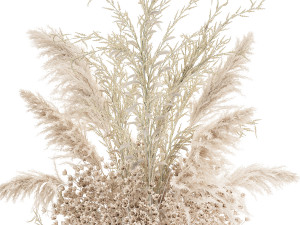 bouquet of white dried flowers in a vase 179 3D Model