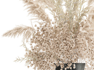 bouquet of white dried flowers in a vase 179 3D Model