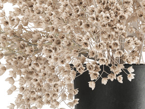 bouquet of white dried flowers in a vase 179 3D Model
