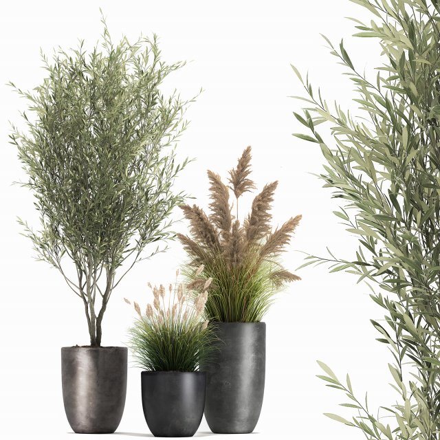 plants in a black pot for the interior 1051 3D Model .c4d .max .obj .3ds .fbx .stl .blend 