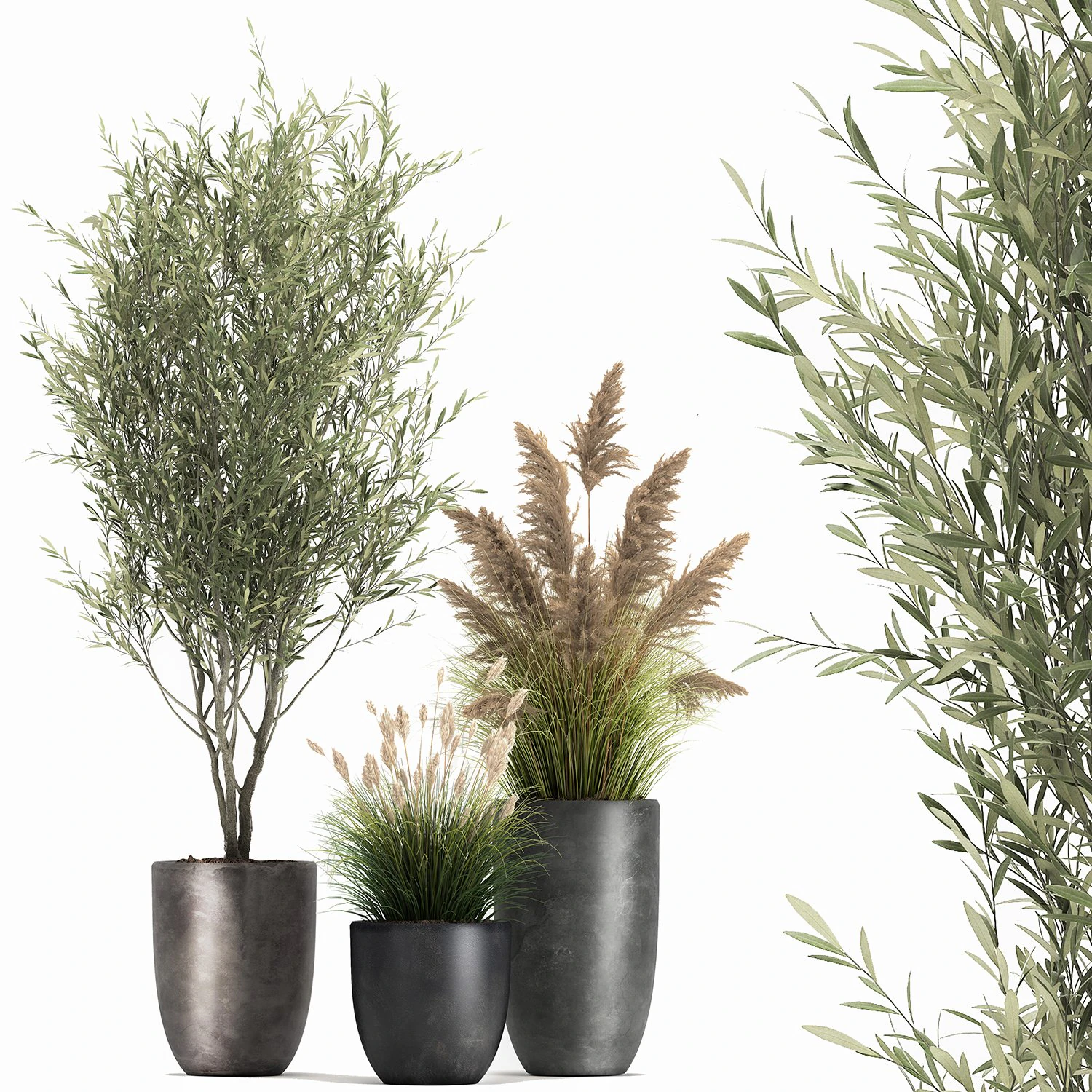 plants in a black pot for the interior 1051 3D Model .c4d .max .obj .3ds .fbx .stl .blend 