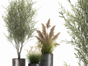 plants in a black pot for the interior 1051 3D Model