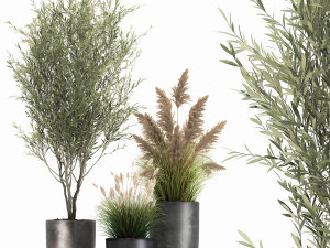plants in a black pot for the interior 1051 Model 3D