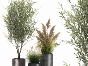 plantas em vaso preto para o interior 1051 Modelo 3D