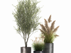 plants in a black pot for the interior 1051 3D Model