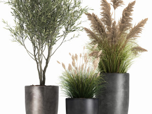 plants in a black pot for the interior 1051 3D Model