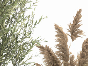 plants in a black pot for the interior 1051 3D Model