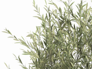 plants in a black pot for the interior 1051 3D Model