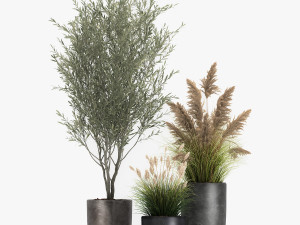 plants in a black pot for the interior 1051 3D Model