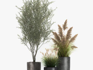 plants in a black pot for the interior 1051 3D Model