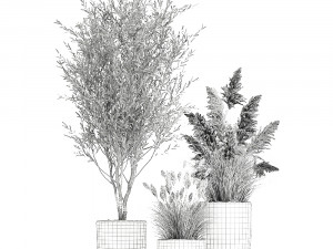 plants in a black pot for the interior 1051 3D Model