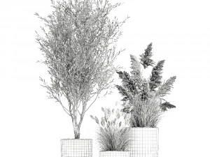 plants in a black pot for the interior 1051 3D Model