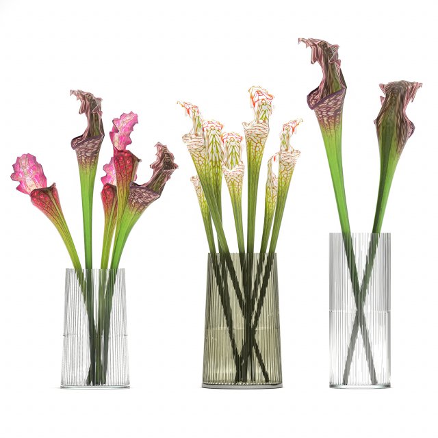 bouquet of sarracenia flowers in a vase 180 3D Model .c4d .max .obj .3ds .fbx .stl .blend 