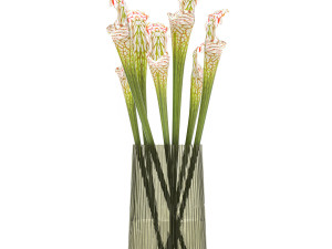 bouquet of sarracenia flowers in a vase 180 3D Model