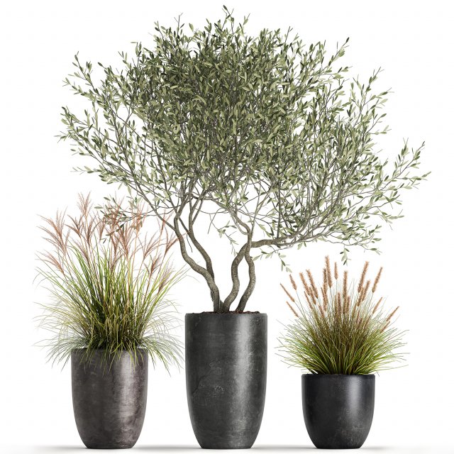 plants in a black pot for the interior 1052 3D Model .c4d .max .obj .3ds .fbx .stl .blend 