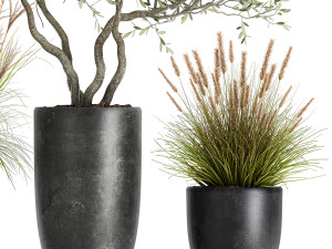 plants in a black pot for the interior 1052 3D Model