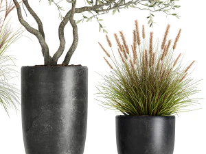 plants in a black pot for the interior 1052 3D Model