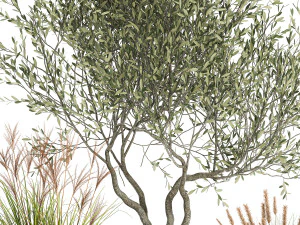 plants in a black pot for the interior 1052 3D Model