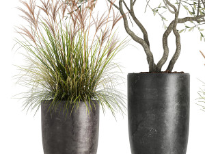 plants in a black pot for the interior 1052 3D Model