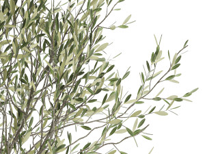 plants in a black pot for the interior 1052 3D Model