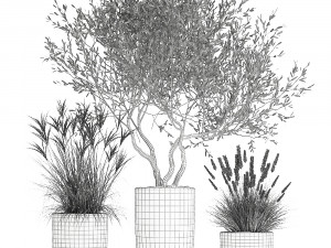 plants in a black pot for the interior 1052 3D Model
