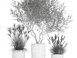 plants in a black pot for the interior 1052 3D Model