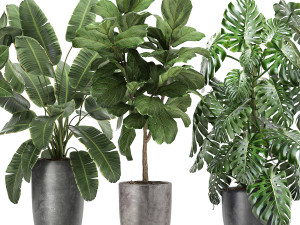 plants in a black pot for the interior 1053 3D Model