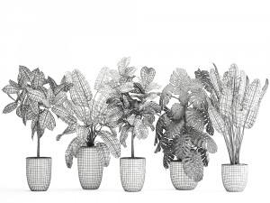 plants in a black pot for the interior 1053 3D Model