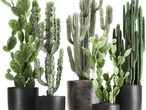decorative cactus in a black pot for the interior 1054 Modelo 3D