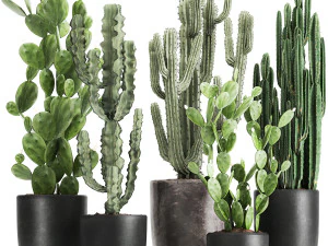 cactus decorativo in vaso nero per interni 1054 Modello 3D