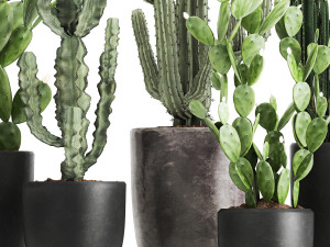 decorative cactus in a black pot for the interior 1054 3D Модель
