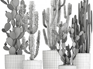 decorative cactus in a black pot for the interior 1054 3D Модель