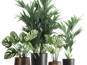 plants in a rusty flowerpot for the interior 1055 3D Модель