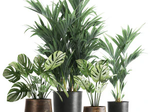 인테리어용 녹슨 화분에 심은 식물 1055 3D 모델