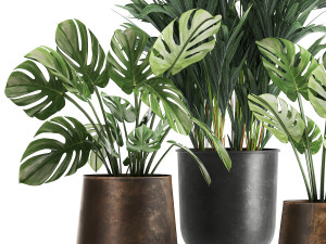 plants in a rusty flowerpot for the interior 1055 Modèle 3D