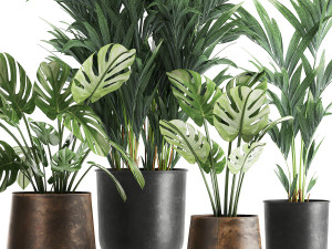 plants in a rusty flowerpot for the interior 1055 Modèle 3D